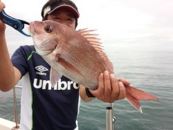 MATSUSHIMA SEANET 釣果