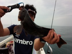 MATSUSHIMA SEANET 釣果