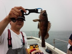 MATSUSHIMA SEANET 釣果