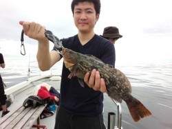 MATSUSHIMA SEANET 釣果