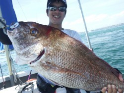 タイラバ船の海豚 釣果