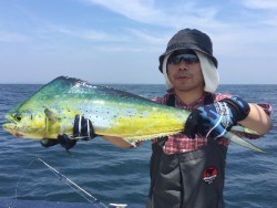 ゲームフィッシング バレントン 釣果