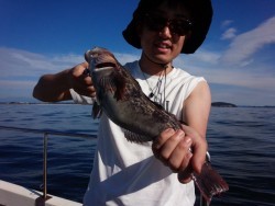 MATSUSHIMA SEANET 釣果