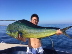 ゲームフィッシング バレントン 釣果