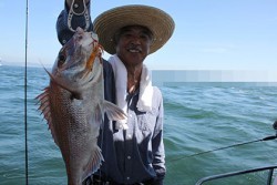 松本釣船２ 釣果