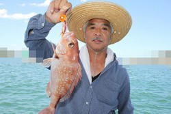松本釣船２ 釣果