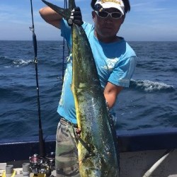 ゲームフィッシング バレントン 釣果