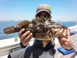 MATSUSHIMA SEANET 釣果