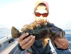 MATSUSHIMA SEANET 釣果