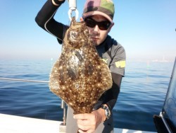 MATSUSHIMA SEANET 釣果