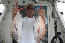 松本釣船２ 釣果