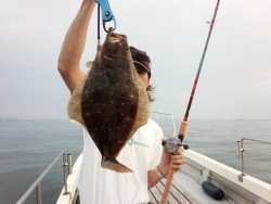 MATSUSHIMA SEANET 釣果