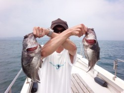 MATSUSHIMA SEANET 釣果