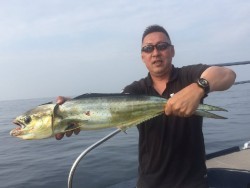 ゲームフィッシング バレントン 釣果