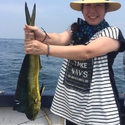 ゲームフィッシング バレントン 釣果