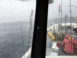 祐英丸 釣果 投稿