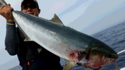 つれ鷹丸 釣果 投稿