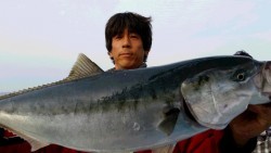 つれ鷹丸 釣果 投稿