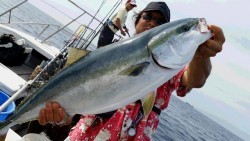 つれ鷹丸 釣果 投稿