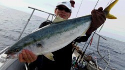 つれ鷹丸 釣果 投稿