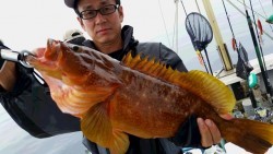 つれ鷹丸 釣果 投稿