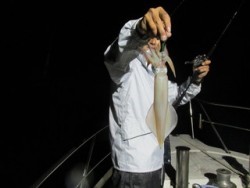 ジギング船 BLUEWATER 釣果