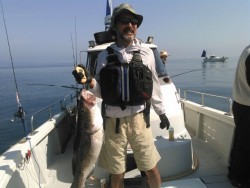 海坊主Ｖ 釣果 投稿