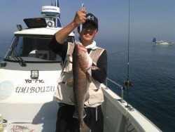 海坊主Ｖ 釣果 投稿