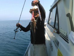 海坊主Ｖ 釣果 投稿