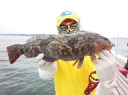 MATSUSHIMA SEANET 釣果