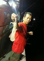 ディープ オーシャン 釣果