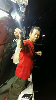 ディープ オーシャン 釣果