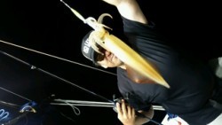 ディープ オーシャン 釣果