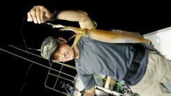 ディープ オーシャン 釣果