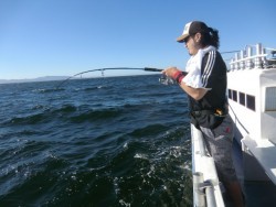 ＢＩＧ－ＯＮＥ 釣果