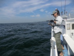 ＢＩＧ－ＯＮＥ 釣果