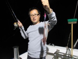 ジギング船 BLUEWATER 釣果 投稿