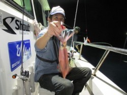 ジギング船 BLUEWATER 釣果