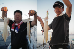 海峡 釣果