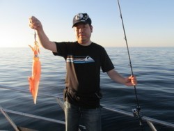 ジギング船 BLUEWATER 釣果