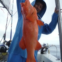 オーシャンパイオニア 釣果