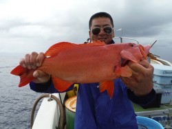 オーシャンパイオニア 釣果
