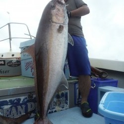 オーシャンパイオニア 釣果