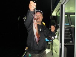 ジギング船 BLUEWATER 釣果 投稿