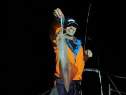 ジギング船 BLUEWATER 釣果 投稿