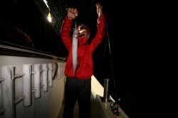 オーシャンズ 釣果　投稿