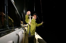 オーシャンズ 釣果 投稿