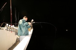 オーシャンズ 釣果