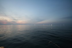 オーシャンズ 釣果