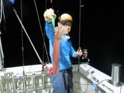 ジギング船 BLUEWATER 釣果 投稿